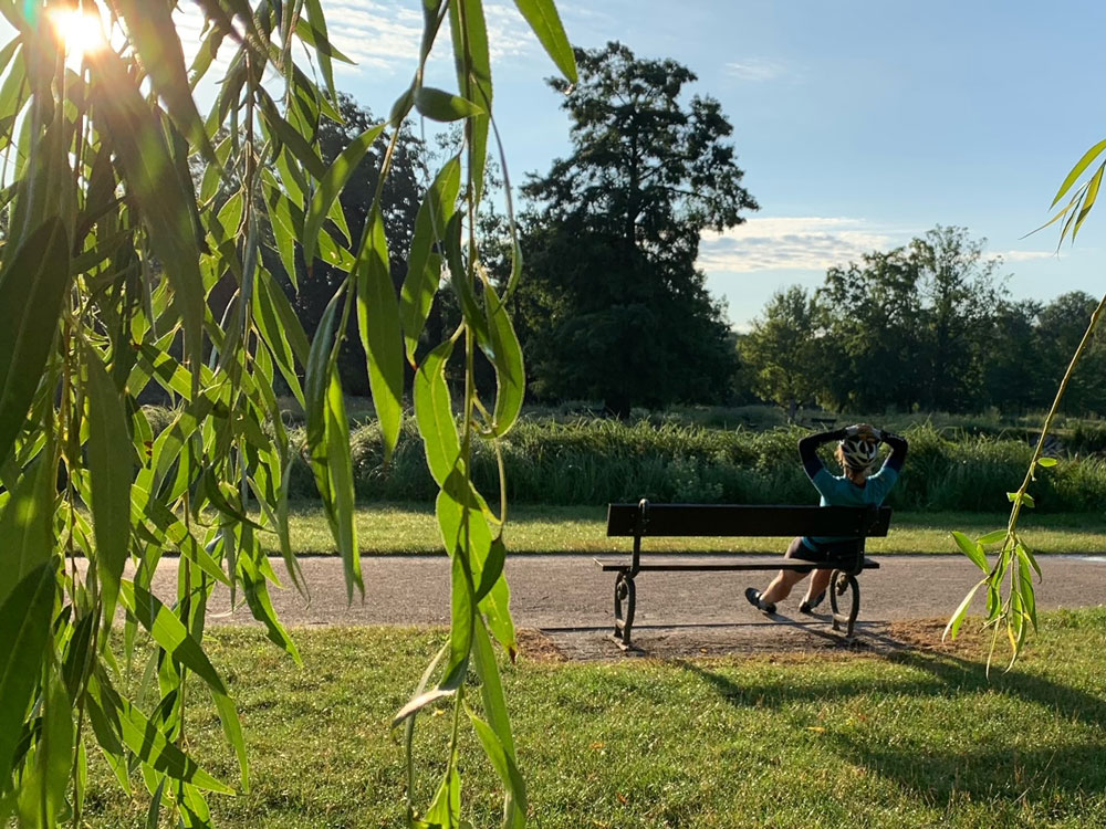 image25